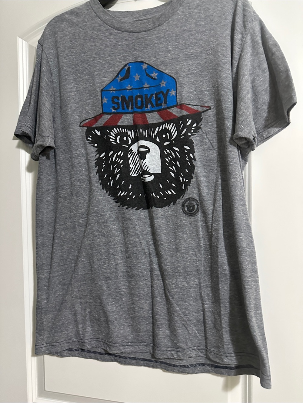 Smoky the Bear Graphic Tee - Gray